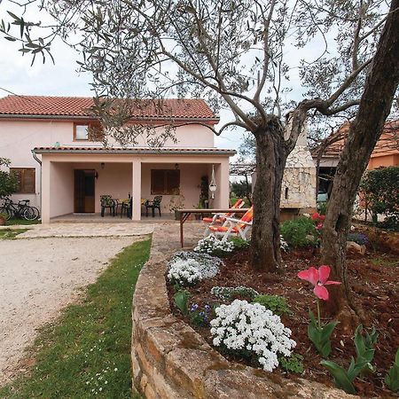 Lovely Apartment In Rovinj With Kitchen Zewnętrze zdjęcie